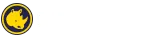 Spinorhino